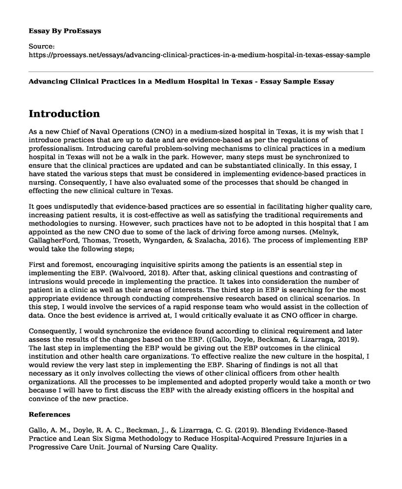 Advancing Clinical Practices in a Medium Hospital in Texas - Essay Sample