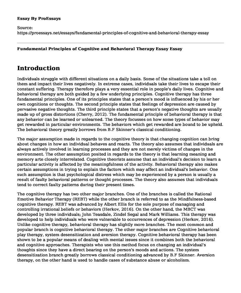 Fundamental Principles of Cognitive and Behavioral Therapy Essay