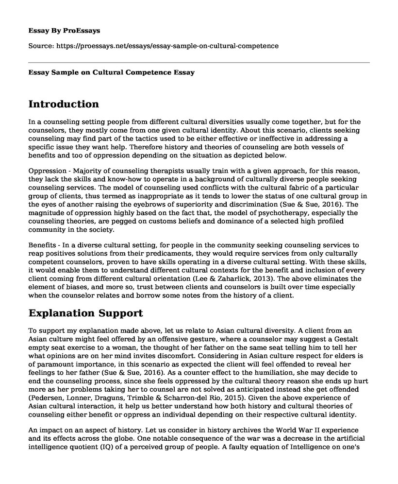 Essay Sample on Cultural Competence