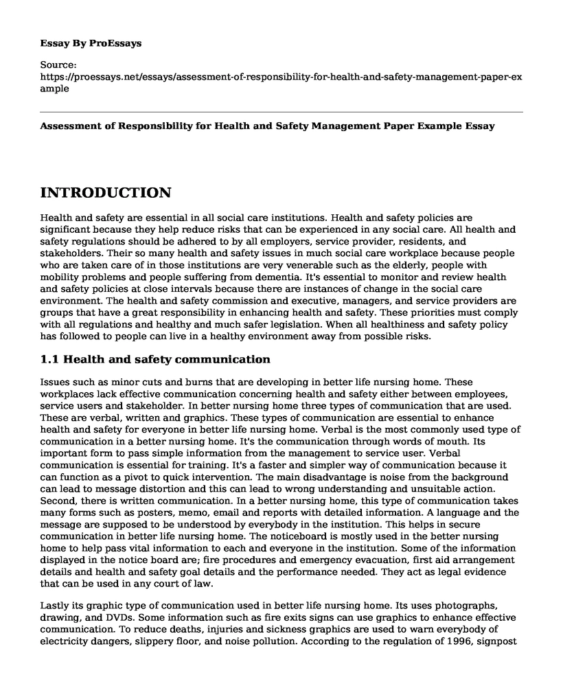 Assessment of Responsibility for Health and Safety Management Paper Example