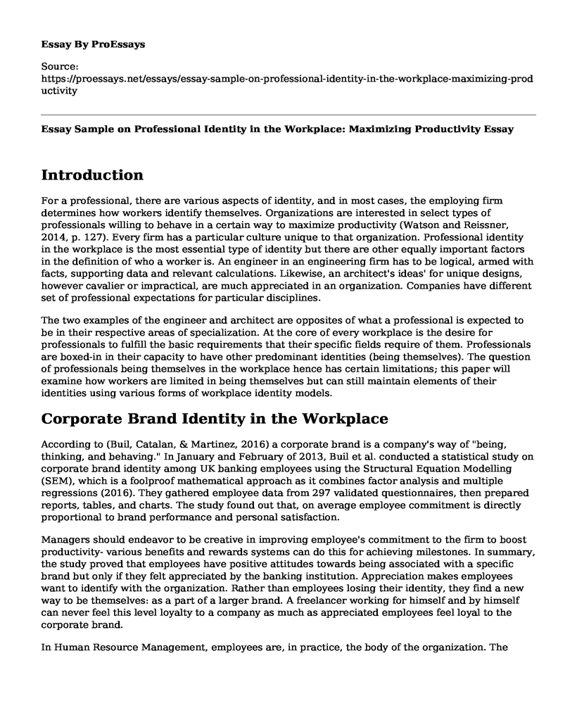 Essay Sample on Professional Identity in the Workplace: Maximizing Productivity