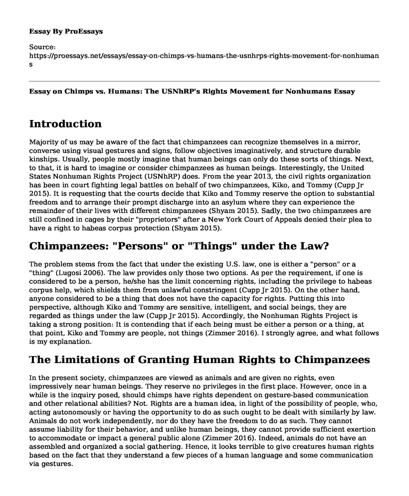 Essay on Chimps vs. Humans: The USNhRP's Rights Movement for Nonhumans