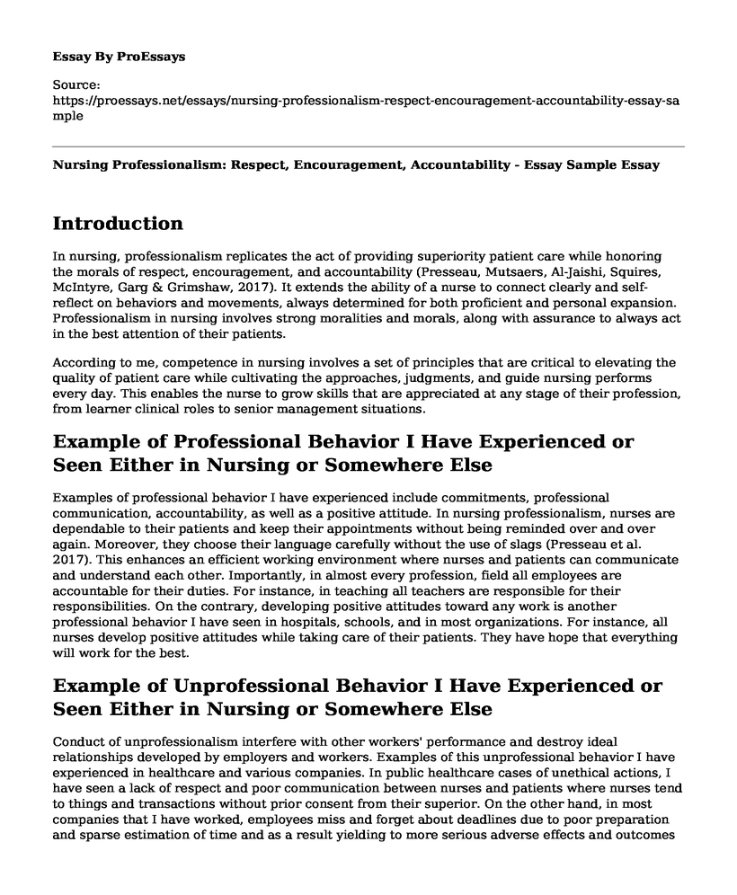 Nursing Professionalism: Respect, Encouragement, Accountability - Essay Sample