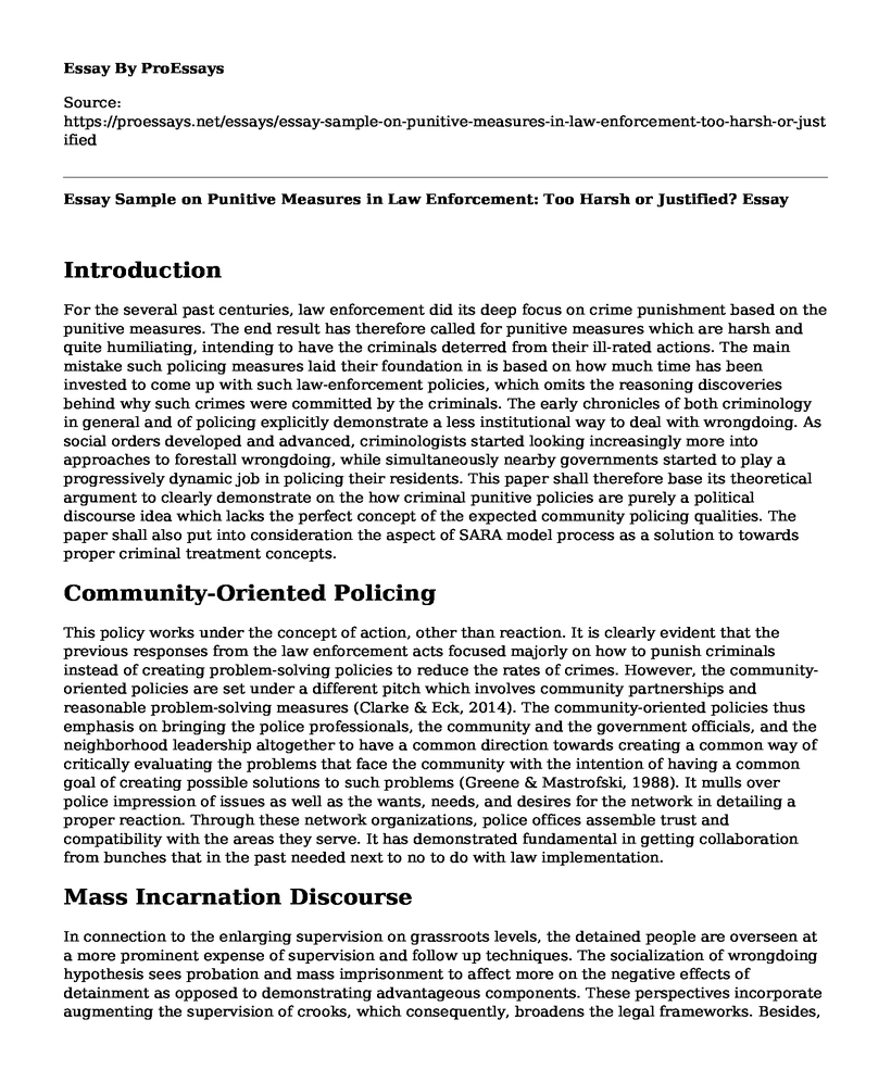 Essay Sample on Punitive Measures in Law Enforcement: Too Harsh or Justified?