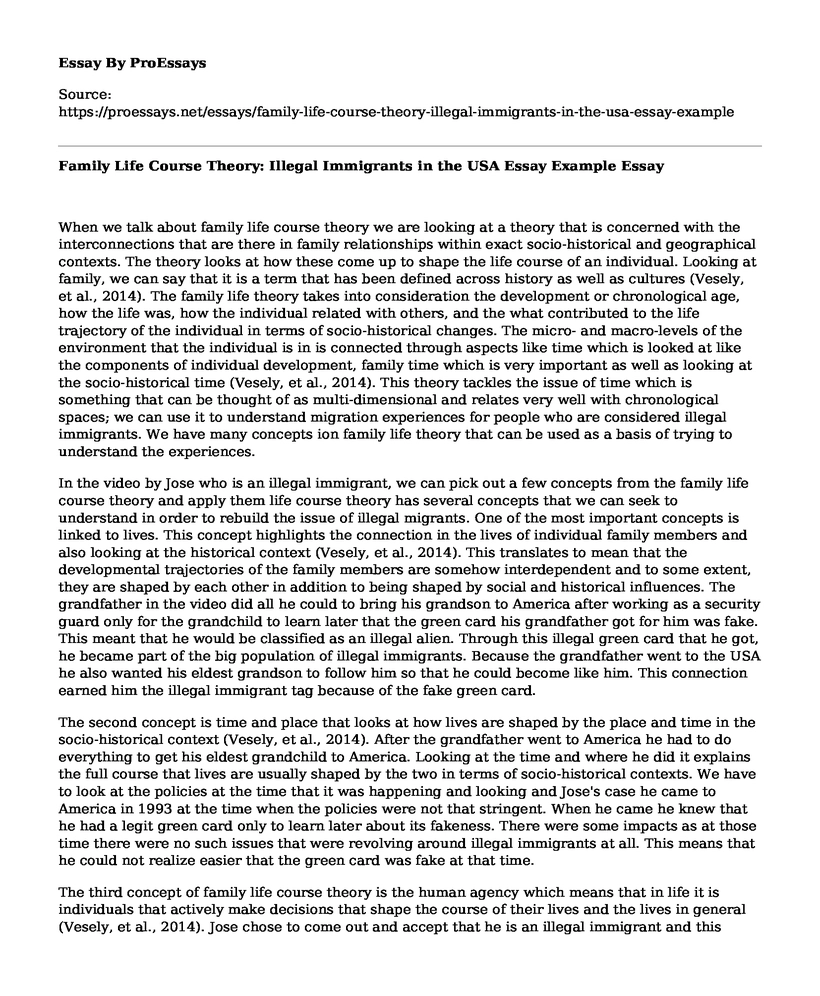 concept of family essay