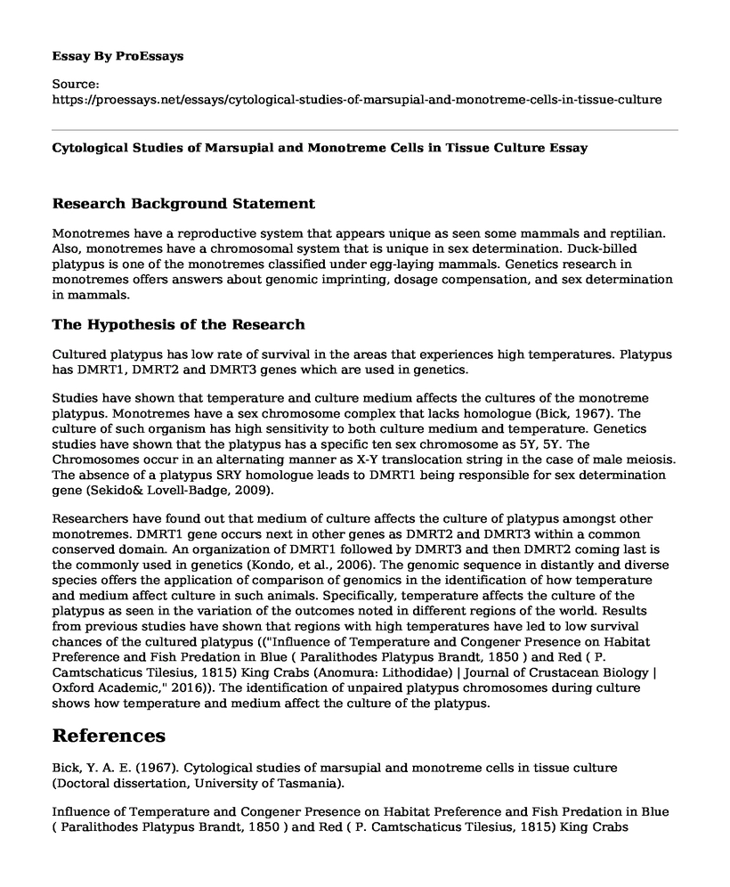 Cytological Studies of Marsupial and Monotreme Cells in Tissue Culture