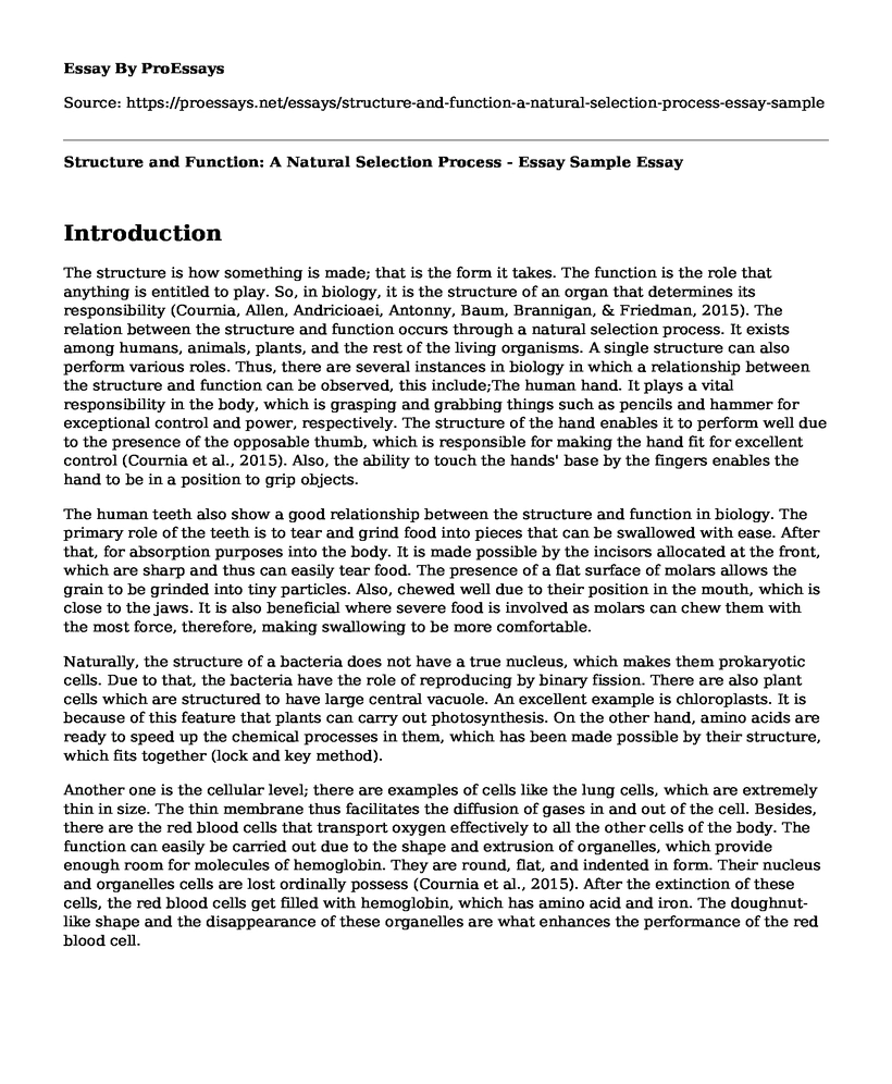 Structure and Function: A Natural Selection Process - Essay Sample