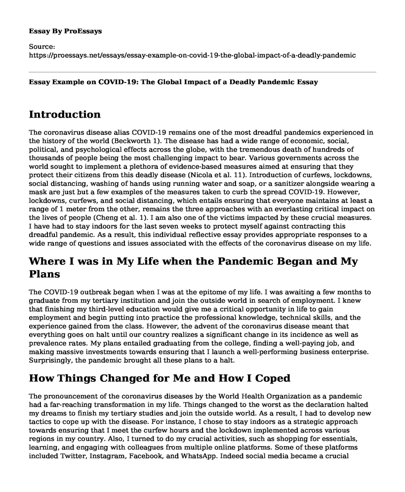 Essay Example on COVID-19: The Global Impact of a Deadly Pandemic