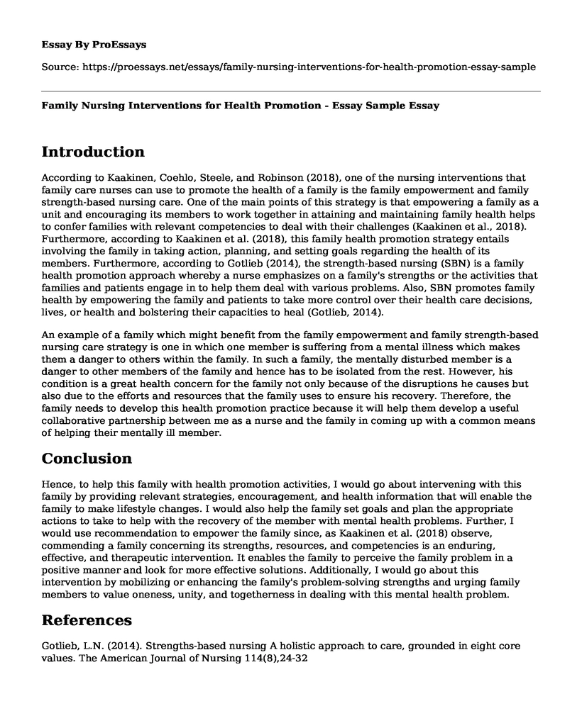 Family Nursing Interventions for Health Promotion - Essay Sample