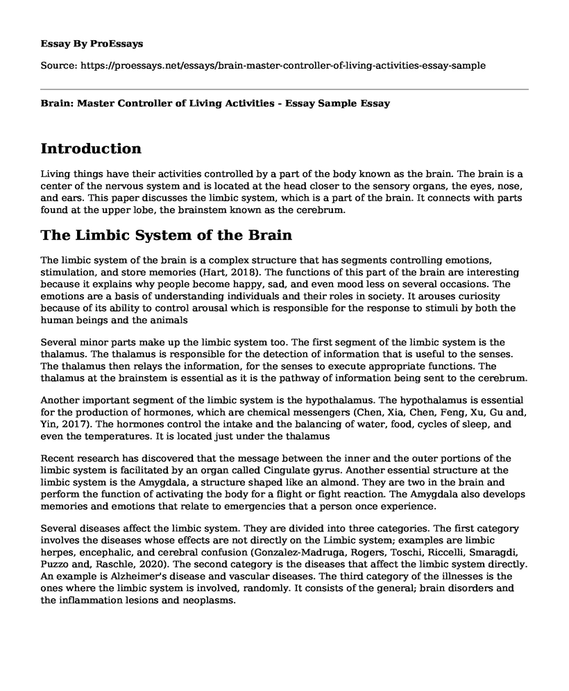 Brain: Master Controller of Living Activities - Essay Sample