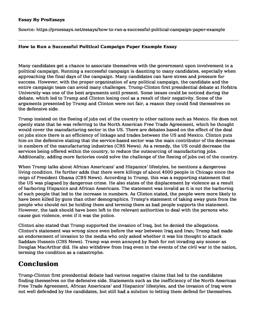 How to Run a Successful Political Campaign Paper Example