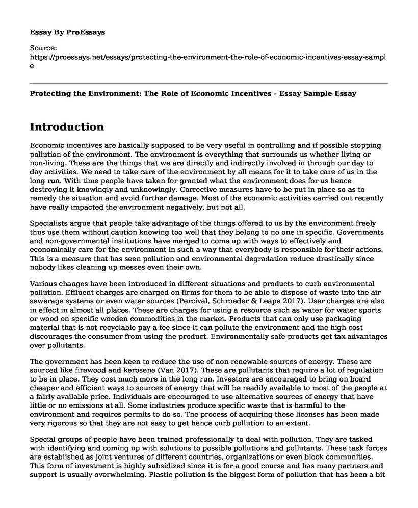 Protecting the Environment: The Role of Economic Incentives - Essay Sample