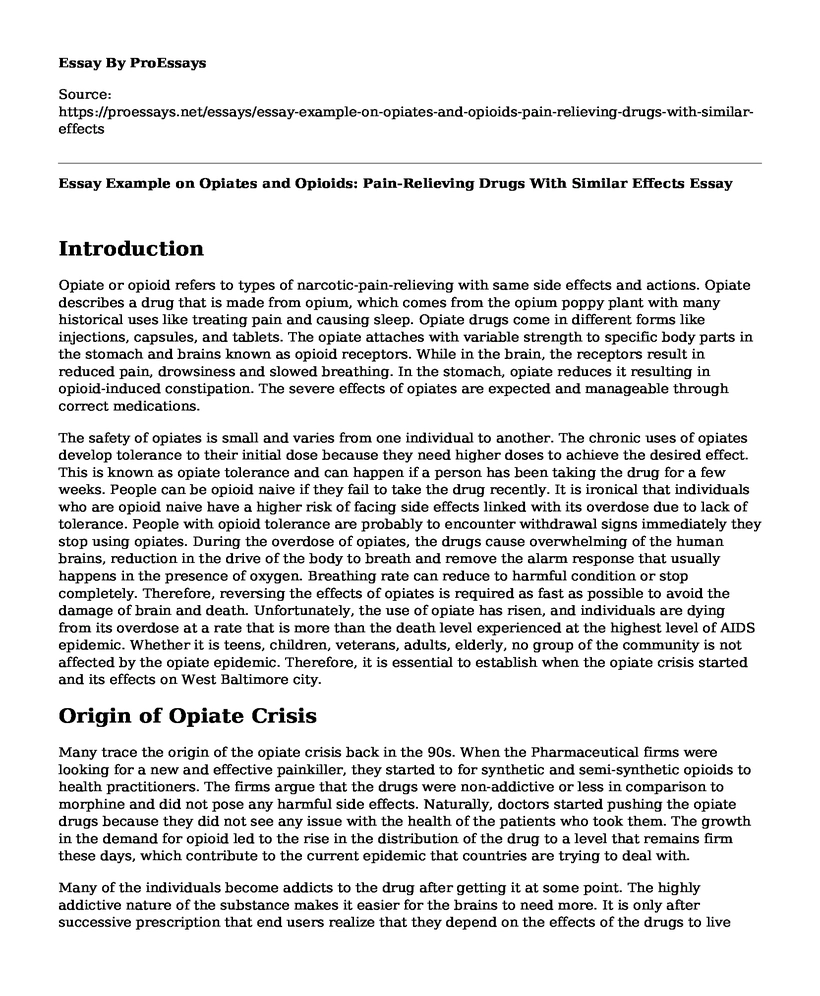 Essay Example on Opiates and Opioids: Pain-Relieving Drugs With Similar Effects