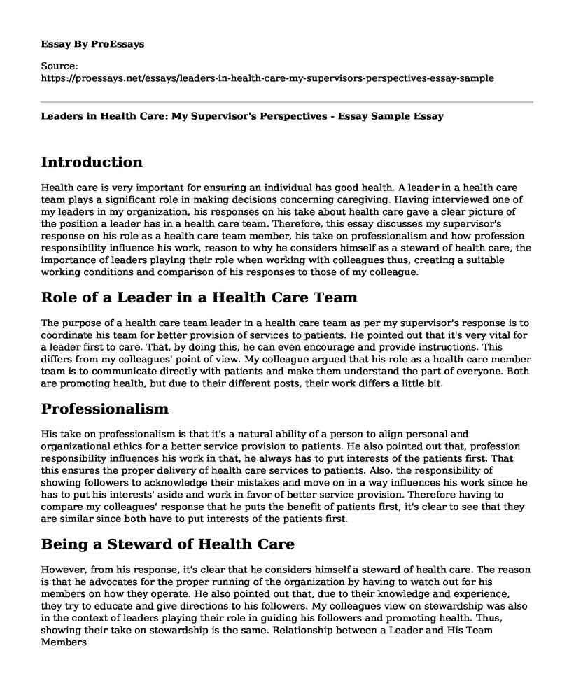Leaders in Health Care: My Supervisor's Perspectives - Essay Sample