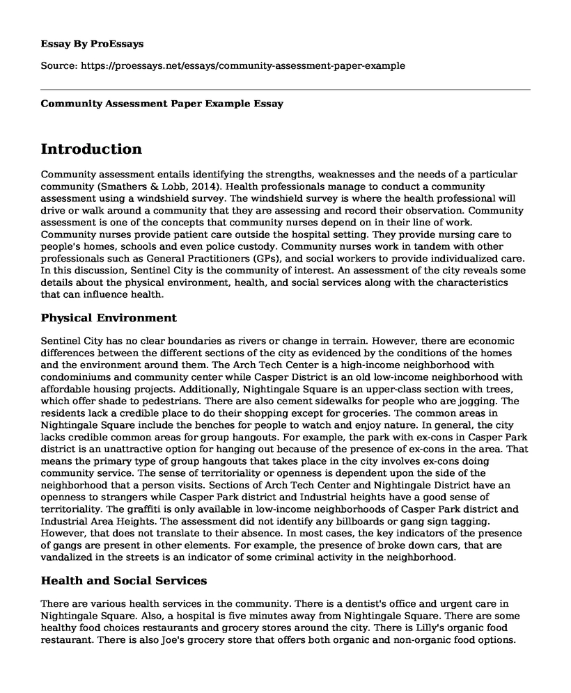Community Assessment Paper Example