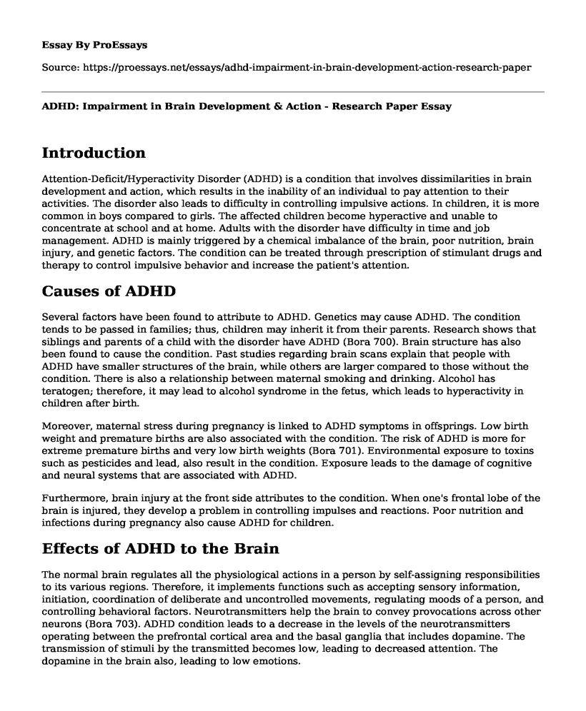 ADHD: Impairment in Brain Development & Action - Research Paper