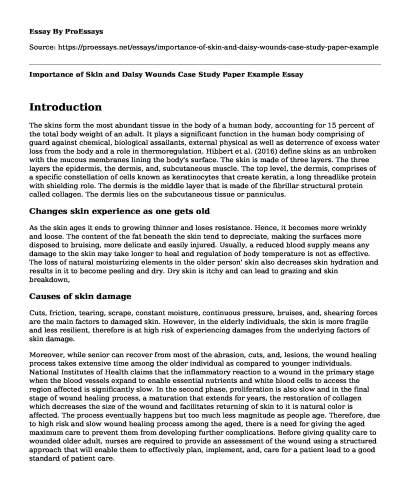 Importance of Skin and Daisy Wounds Case Study Paper Example