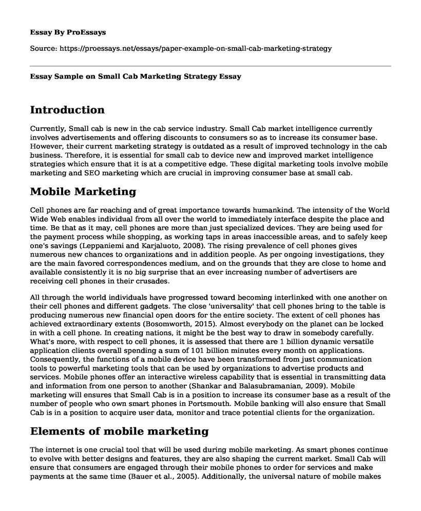 Essay Sample on Small Cab Marketing Strategy