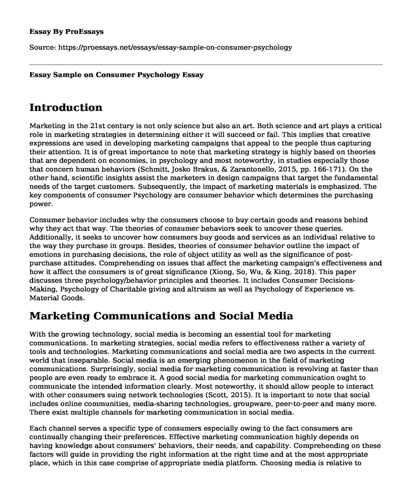Essay Sample on Consumer Psychology