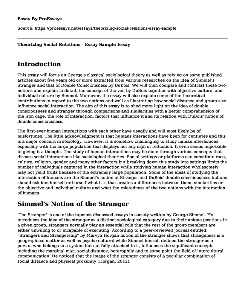 Theorizing Social Relations - Essay Sample