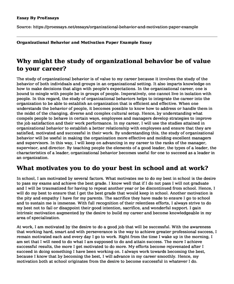 Organizational Behavior and Motivation Paper Example