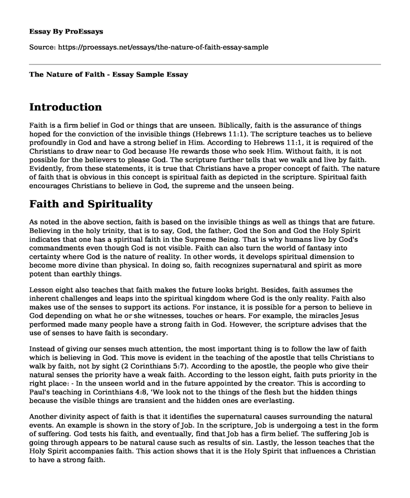 The Nature of Faith - Essay Sample