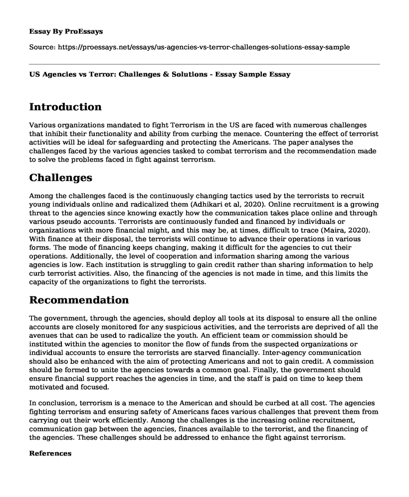 US Agencies vs Terror: Challenges & Solutions - Essay Sample
