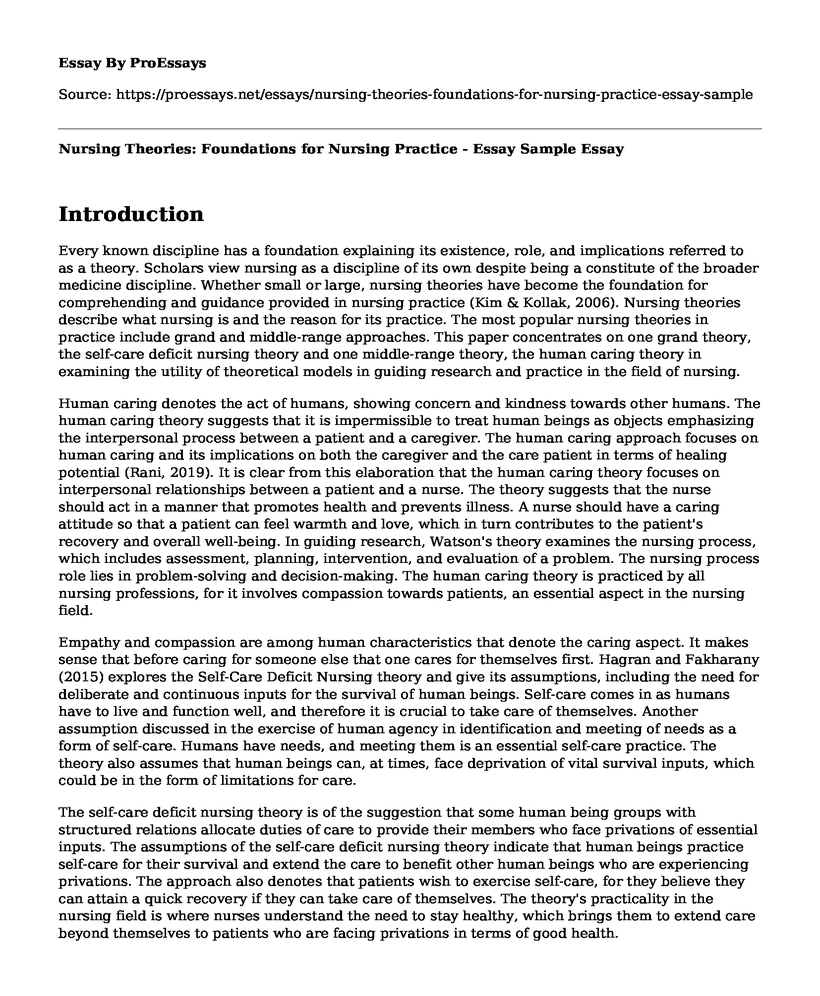 Nursing Theories: Foundations for Nursing Practice - Essay Sample