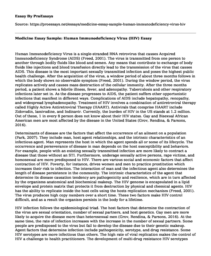 Medicine Essay Sample: Human Immunodeficiency Virus (HIV)