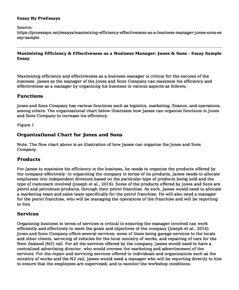 Maximizing Efficiency & Effectiveness as a Business Manager: Jones & Sons - Essay Sample