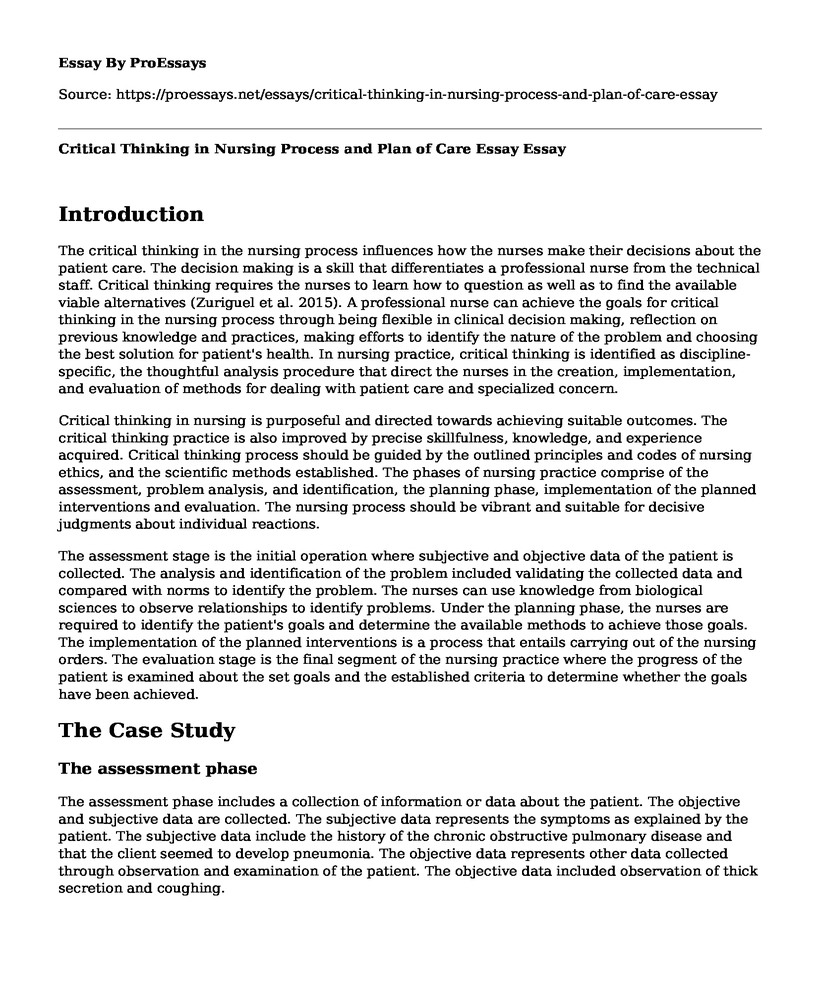 Critical Thinking in Nursing Process and Plan of Care Essay