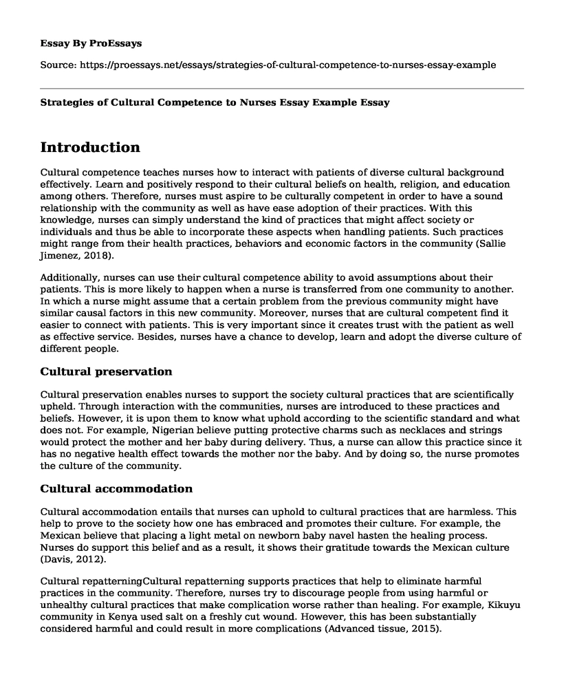 Strategies of Cultural Competence to Nurses Essay Example