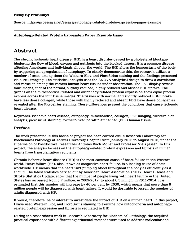 Autophagy-Related Protein Expression Paper Example