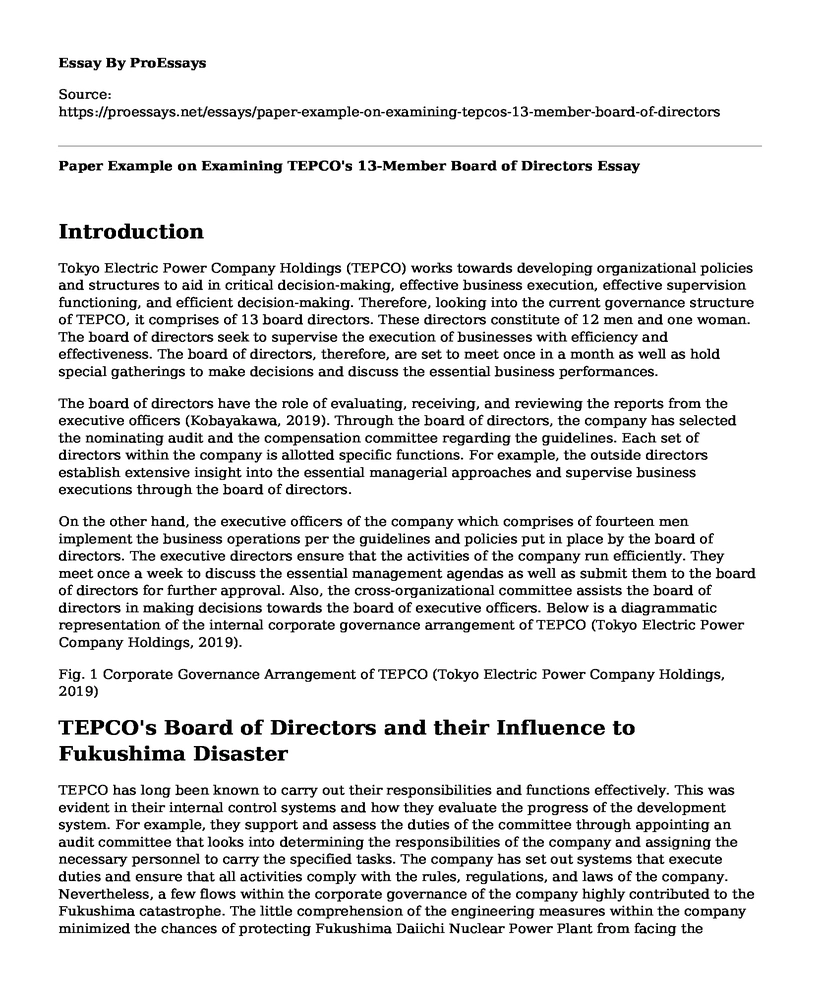 Paper Example on Examining TEPCO's 13-Member Board of Directors