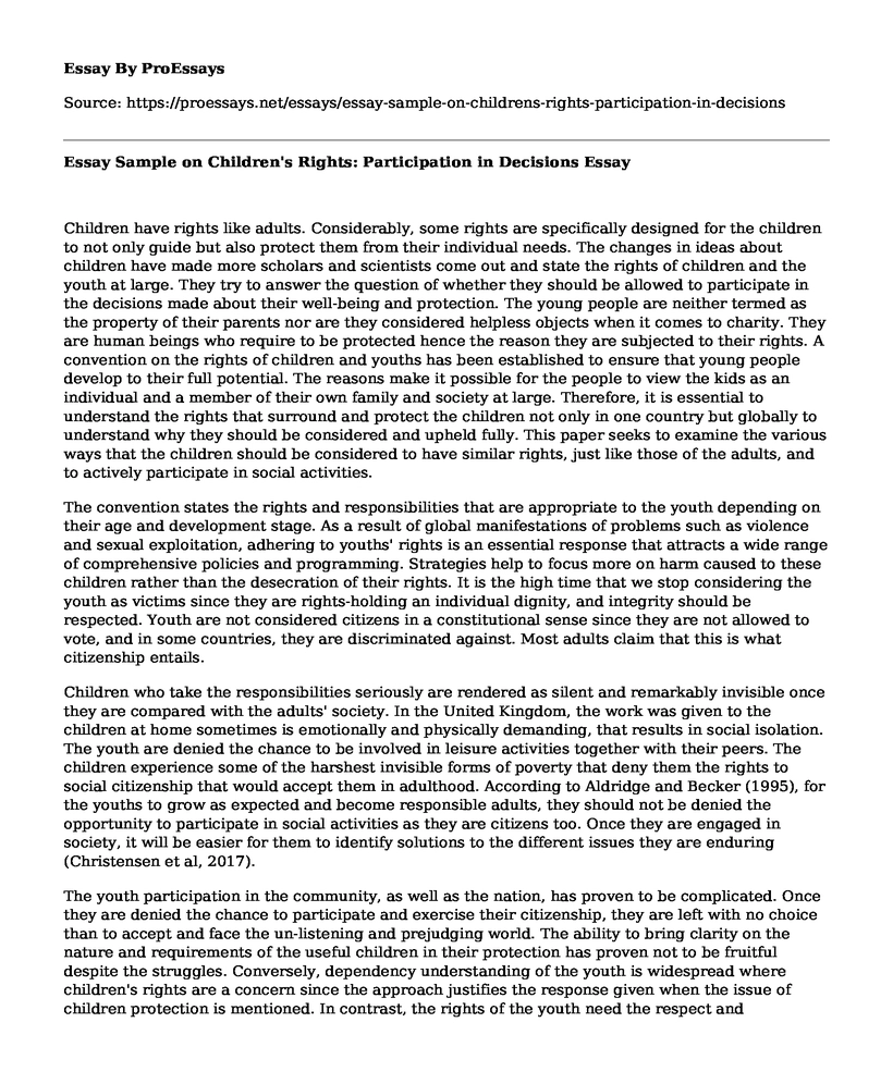 Essay Sample on Children's Rights: Participation in Decisions