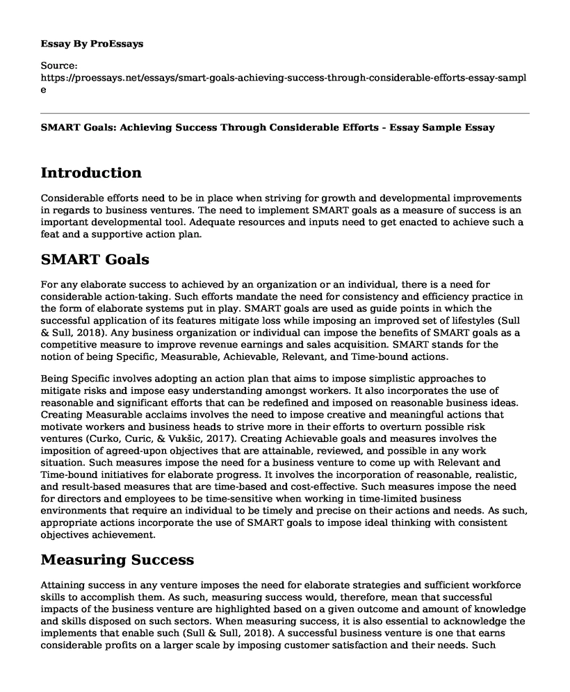 SMART Goals: Achieving Success Through Considerable Efforts - Essay Sample