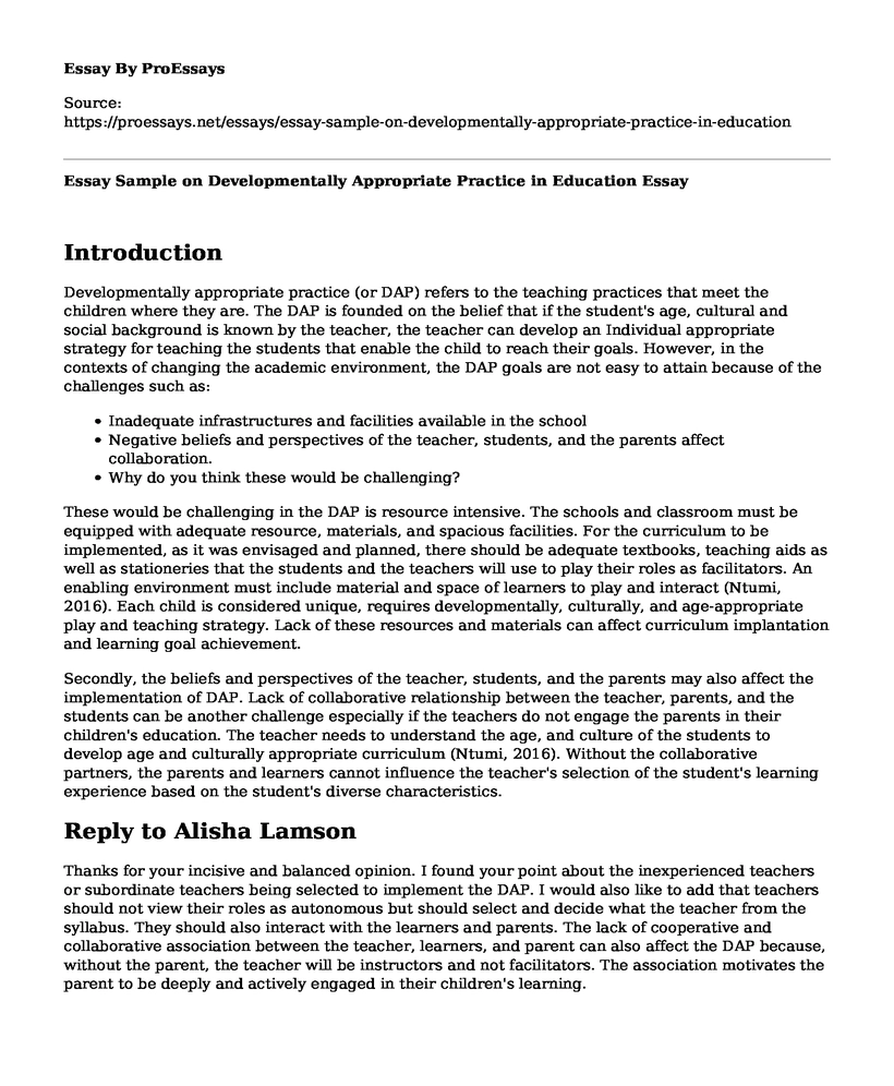 Essay Sample on Developmentally Appropriate Practice in Education