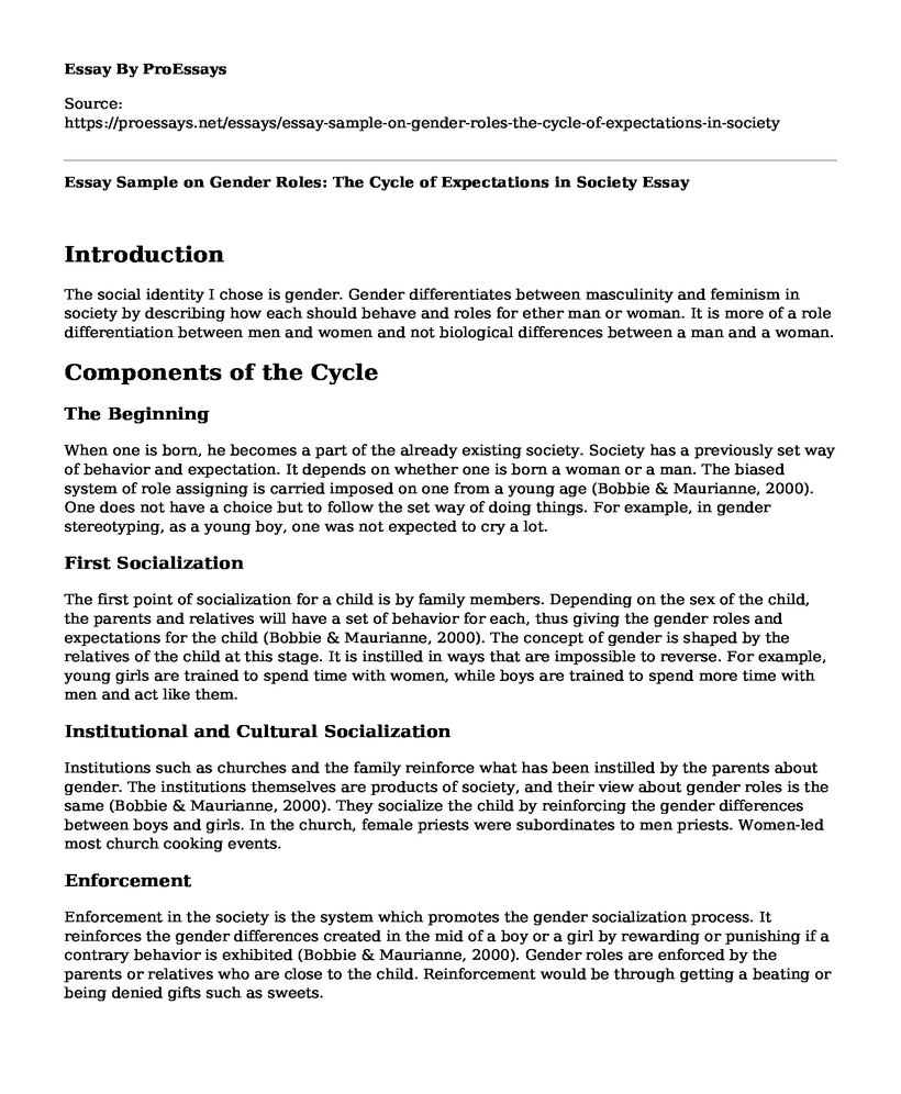Essay Sample on Gender Roles: The Cycle of Expectations in Society