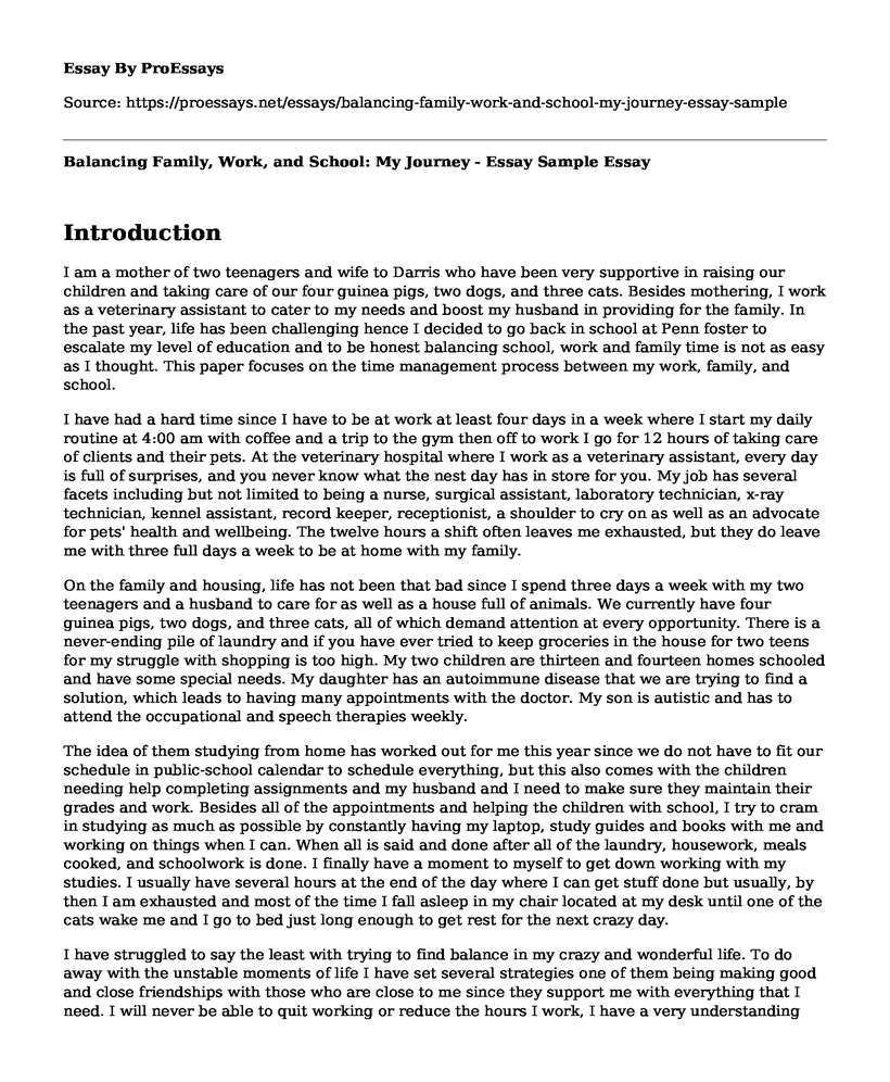 Balancing Family, Work, and School: My Journey - Essay Sample