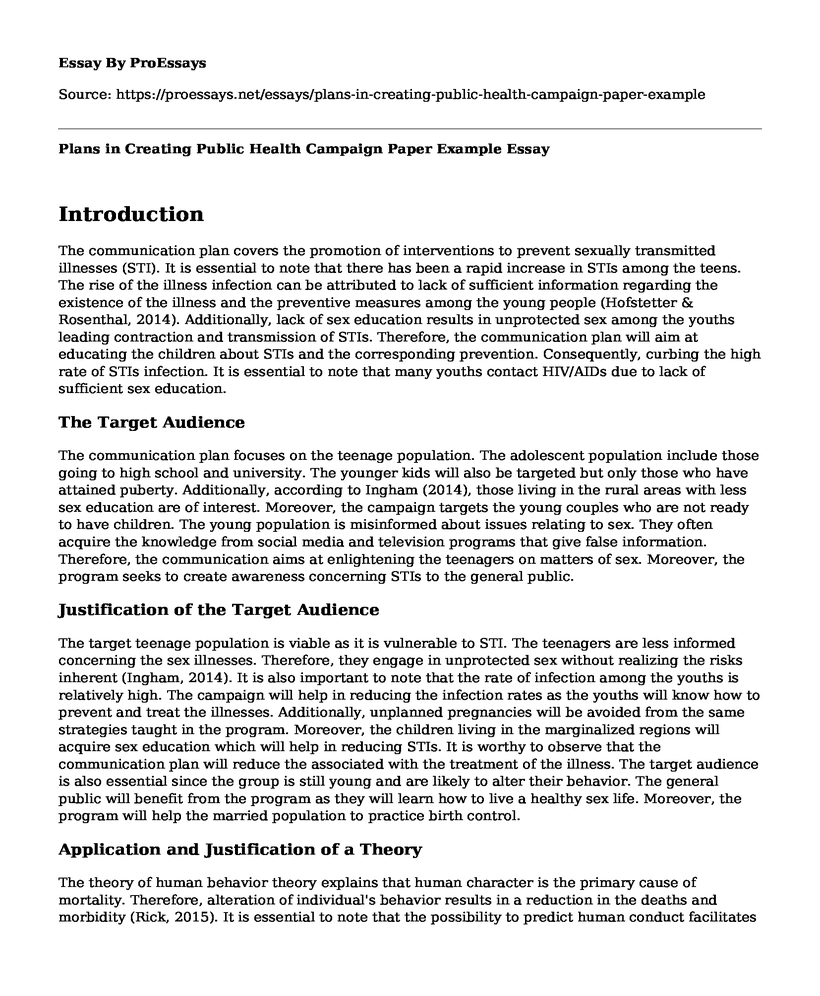 Plans in Creating Public Health Campaign Paper Example