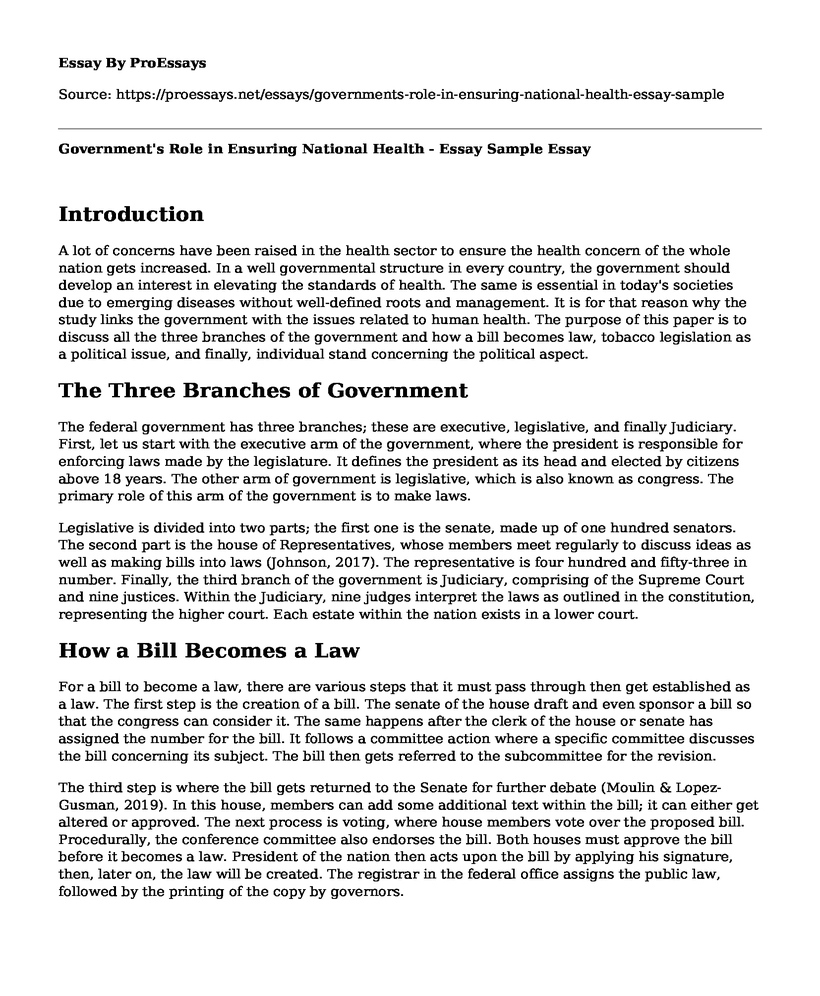 Government's Role in Ensuring National Health - Essay Sample