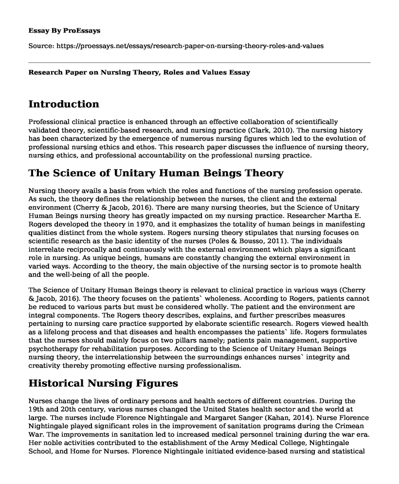 Research Paper on Nursing Theory, Roles and Values