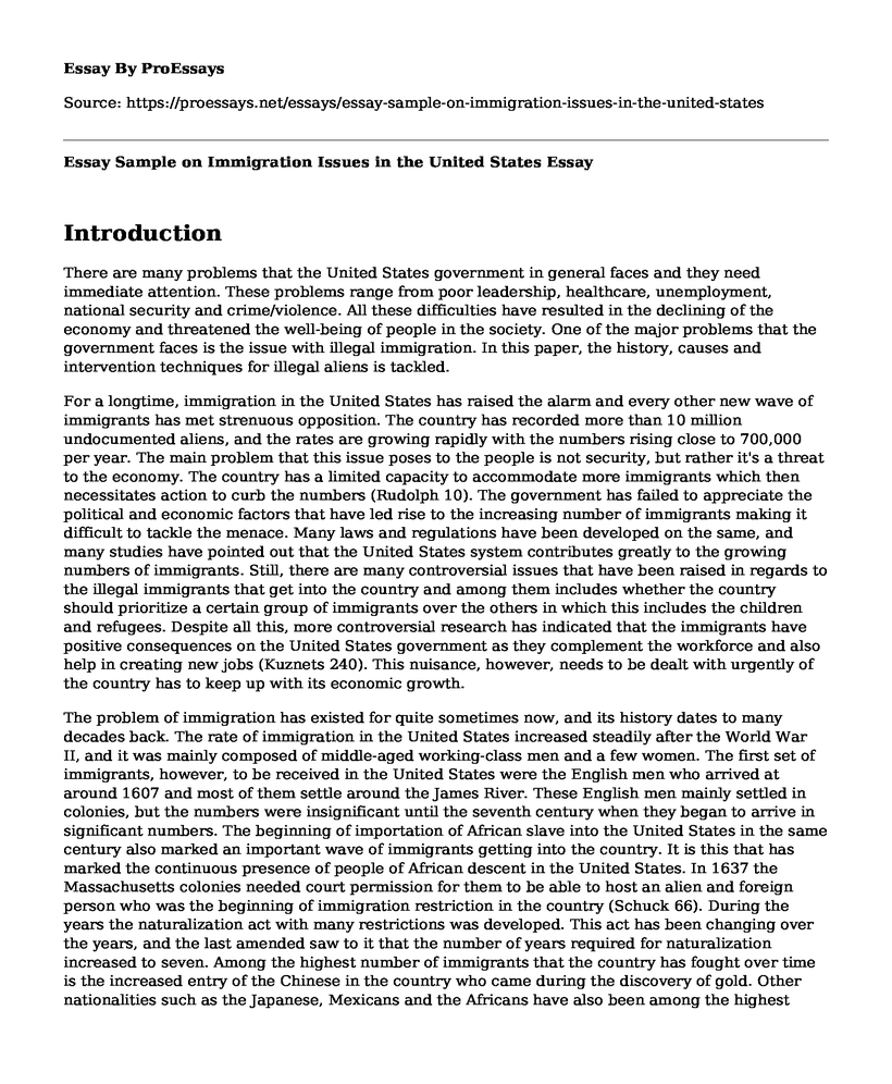 Essay Sample on Immigration Issues in the United States