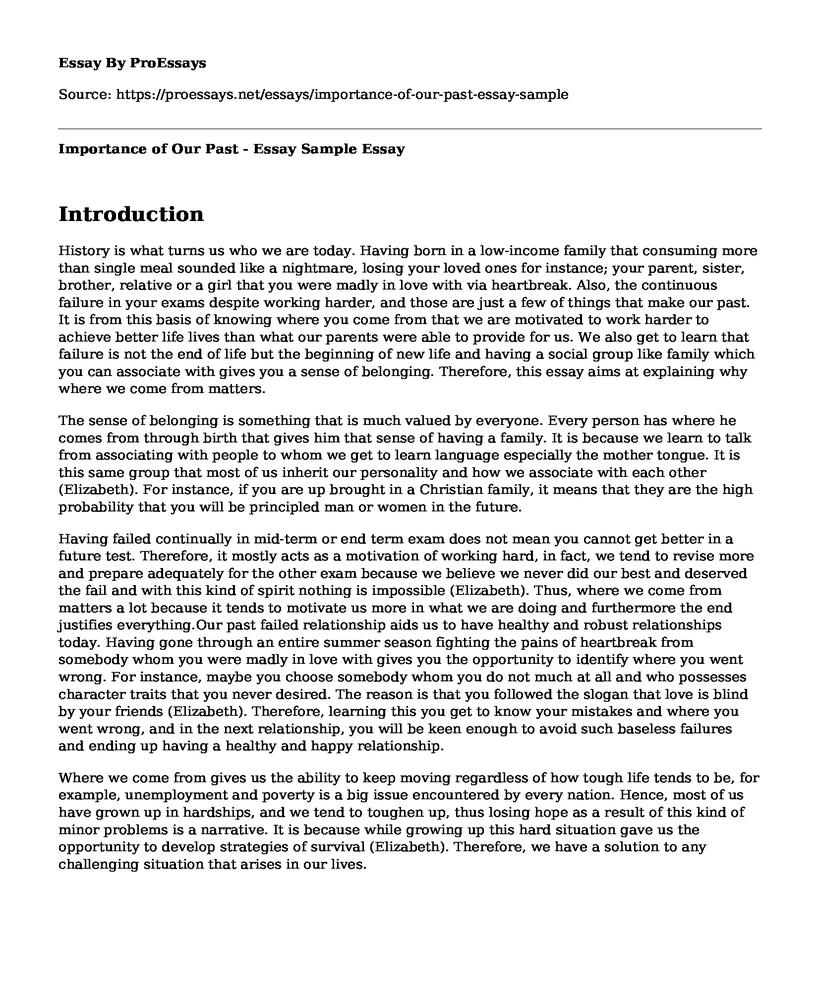Importance of Our Past - Essay Sample