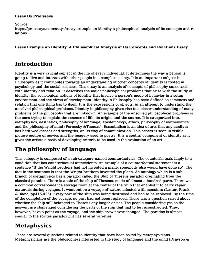 Essay Example on Identity: A Philosophical Analysis of Its Concepts and Relations