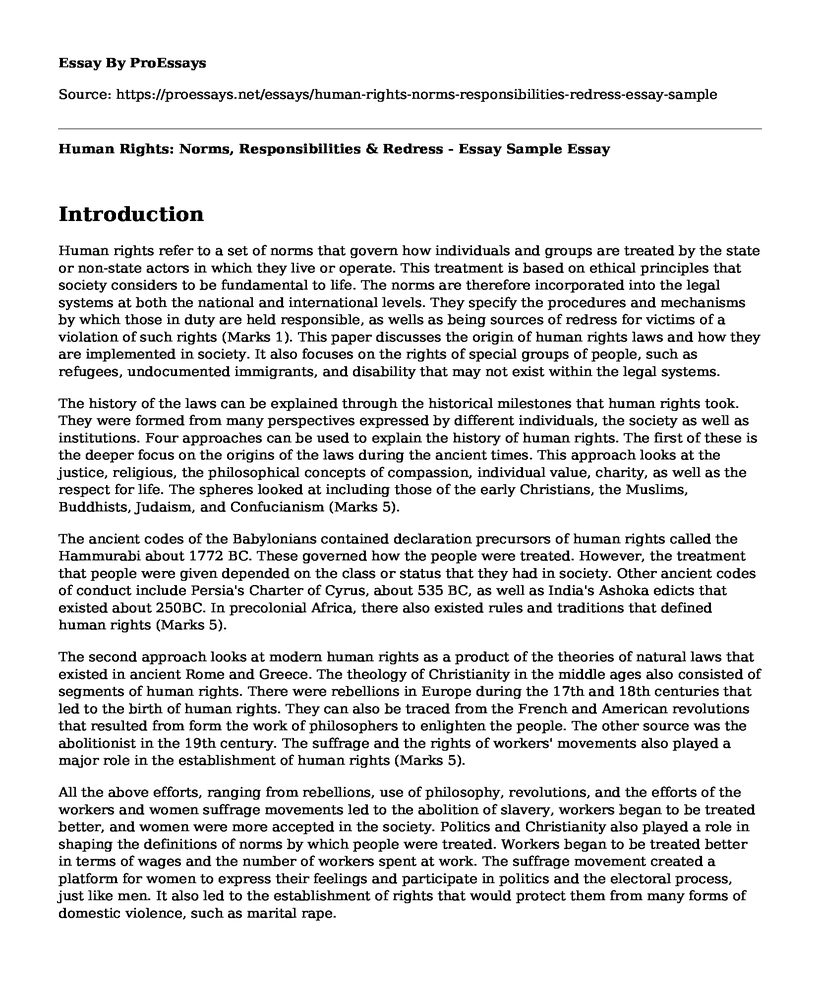 Human Rights: Norms, Responsibilities & Redress - Essay Sample
