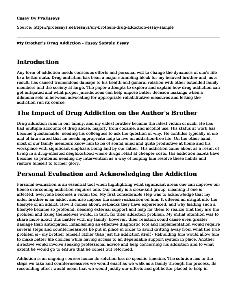 My Brother's Drug Addiction - Essay Sample