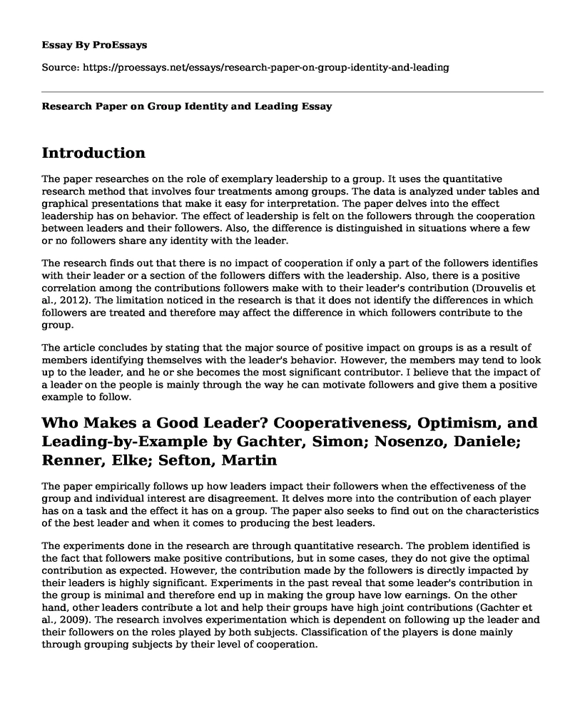 Research Paper on Group Identity and Leading