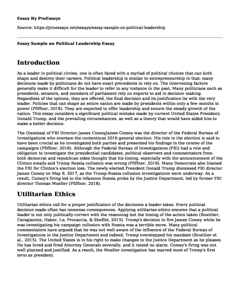 Essay Sample on Political Leadership