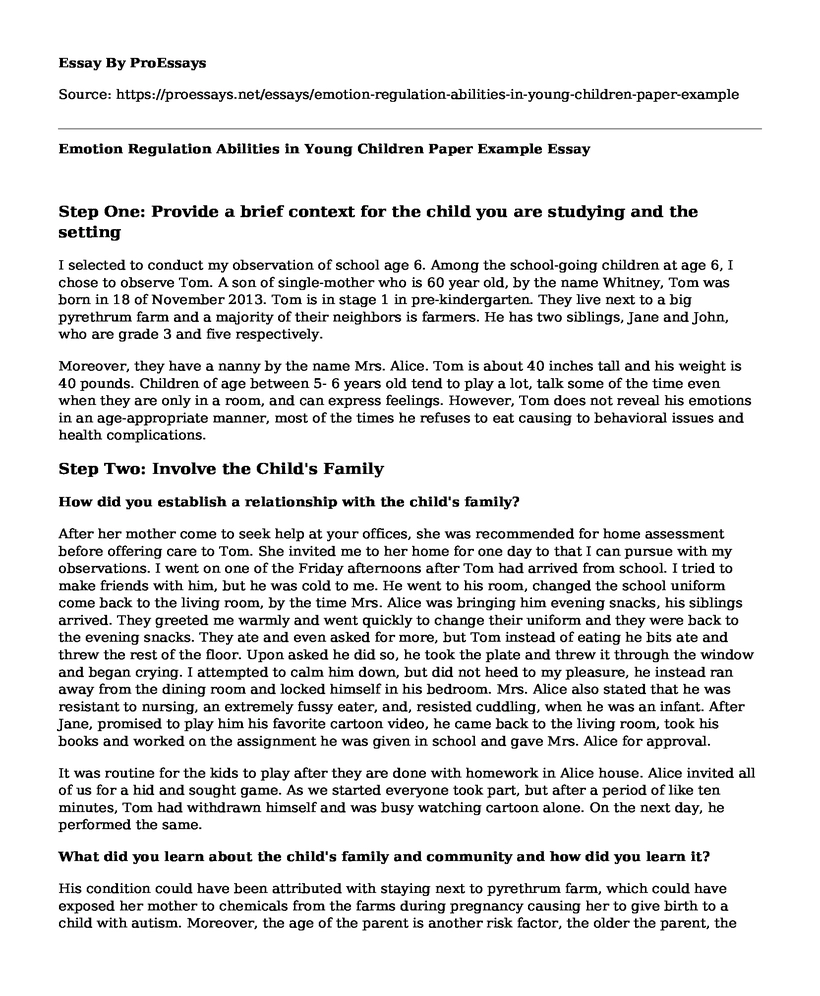 Emotion Regulation Abilities in Young Children Paper Example